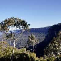 擁有世上最斜的纜車 - 藍山國家公園（Blue Mountains National Park）