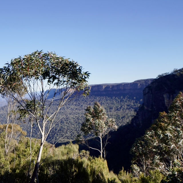 擁有世上最斜的纜車 - 藍山國家公園（Blue Mountains National Park）