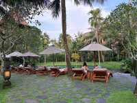 Alaya Resort Ubud——泳池小孩玩瘋了