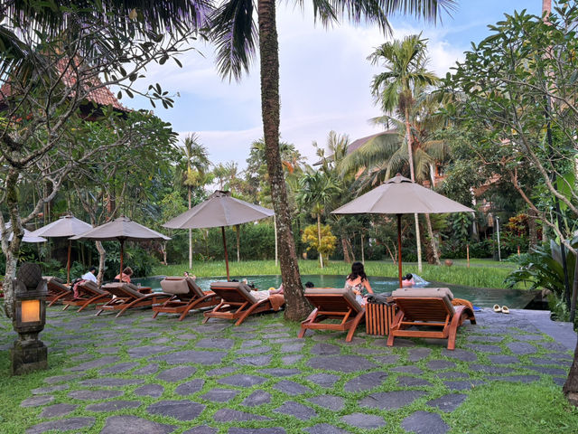 Alaya Resort Ubud——泳池小孩玩瘋了