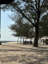 คาเฟ่ หาดแหลมเจริญ ระยอง 