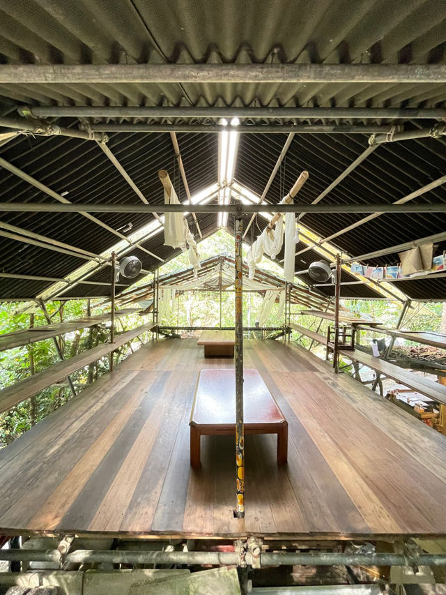 🇲🇾Hidden Nature Escape🌿Rainforest Treehouse Café Kulai
