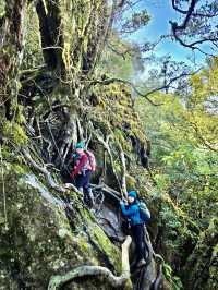 巧遇夢幻的斜射光及雲海在加里山
