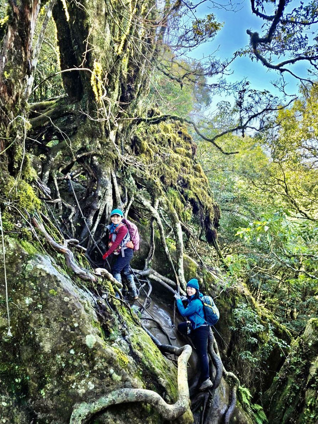 巧遇夢幻的斜射光及雲海在加里山