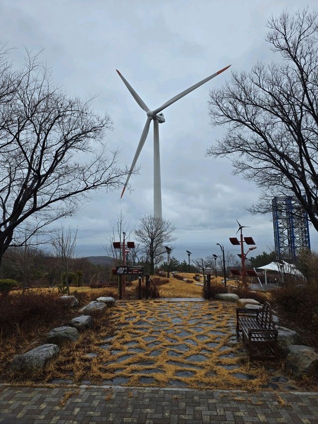 흐려도 운치있던 영덕 오션뷰 해파랑공원💙