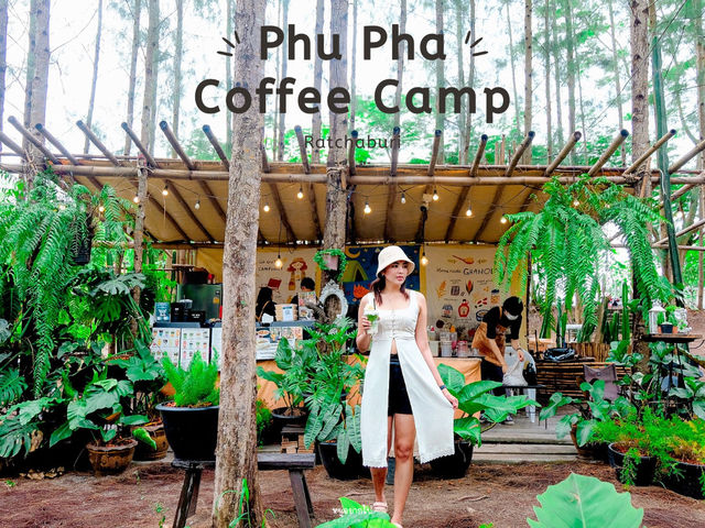 คาเฟ่ในป่าสน ภูผา คอฟฟี่แคมป์ ราชบุรี