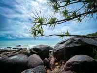 Nature’s Haven: Discover Hinchinbrook Island