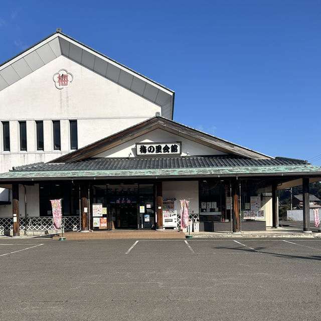 【福井/三方上中】梅のお土産を買うならここ☝️