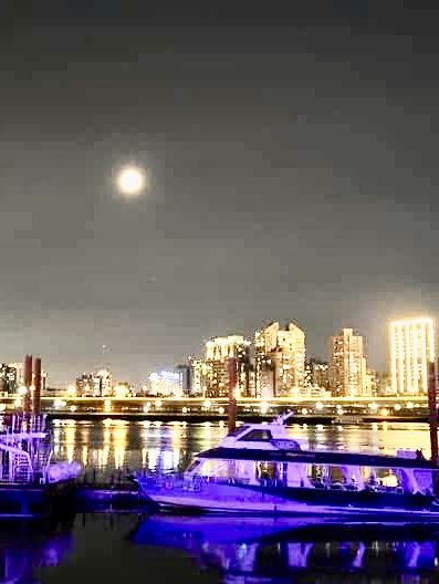 台北河濱單車輕旅行