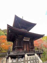 The Everlasting Light of Wisdom in Nirvana — The Jojakko-ji Temple in Arashiyama 