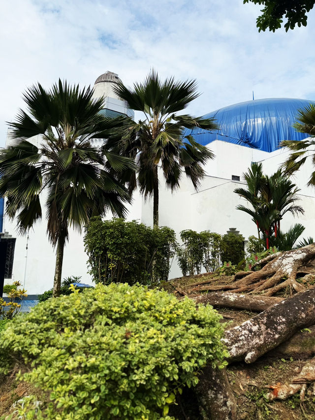 Blue Planet in Malaysia 🌎