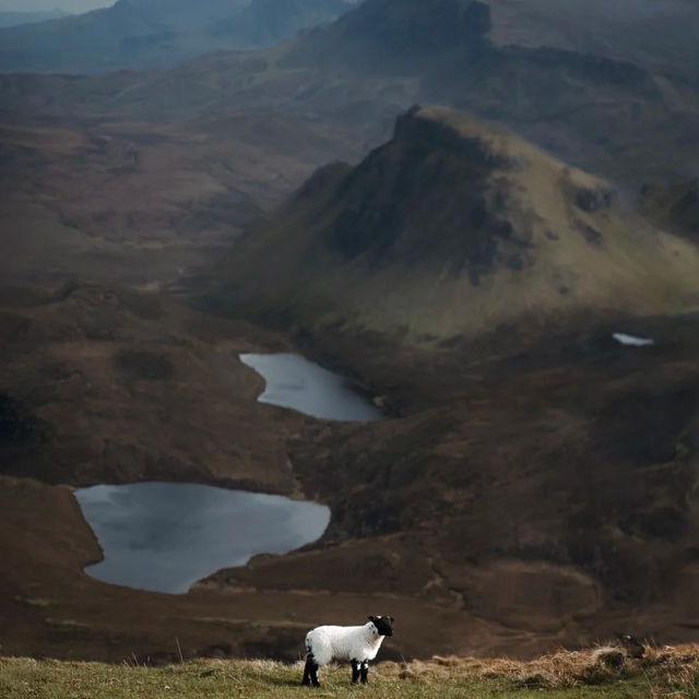 Highland Scotland: A Majestic Landscape of Untamed Beauty