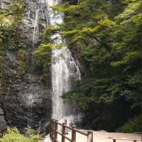 白ひげの滝