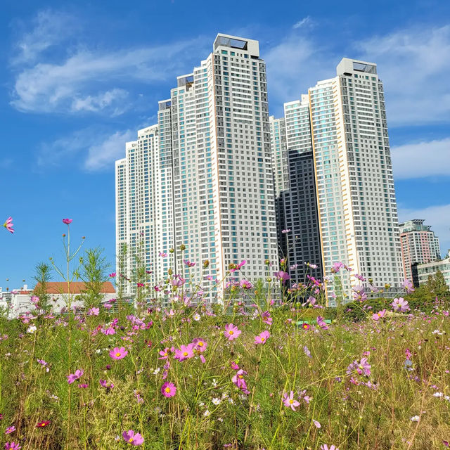富川中央公園 