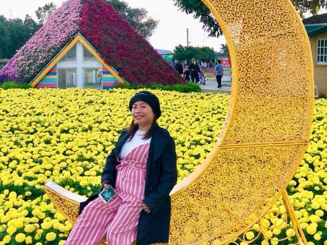 Lost in Zhongshe Flower Market for a Day– Taichung