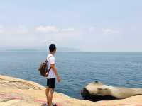 Yehliu Geopark - Must-visit Destination!