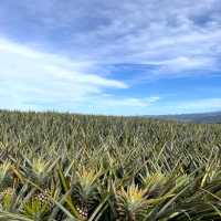 BUKIDNON TOUR