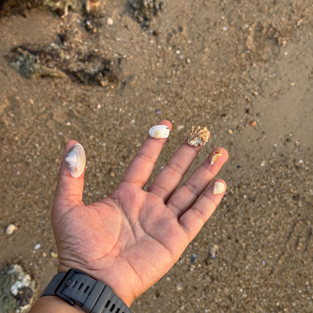 ”จุดชมวิวหัวแหลมปากคลอง“ จ.ระยอง 🏝️🌊🩵