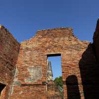 タイ旅行🇹🇭アユタヤ遺跡と像乗り体験