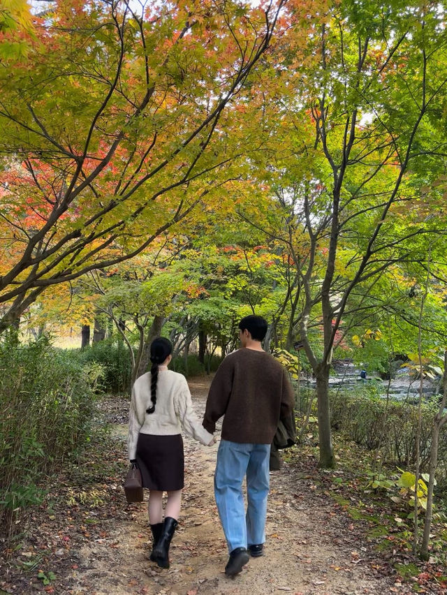 상소동 산림욕장