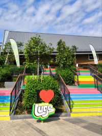 Bored of Kuala Lumpur City? Things to do outside KL