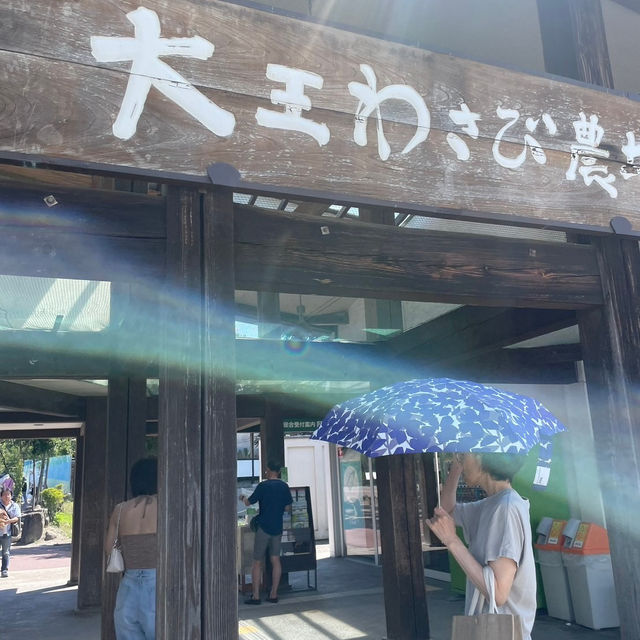日本一大きなわさび農場『大王わさび農場』