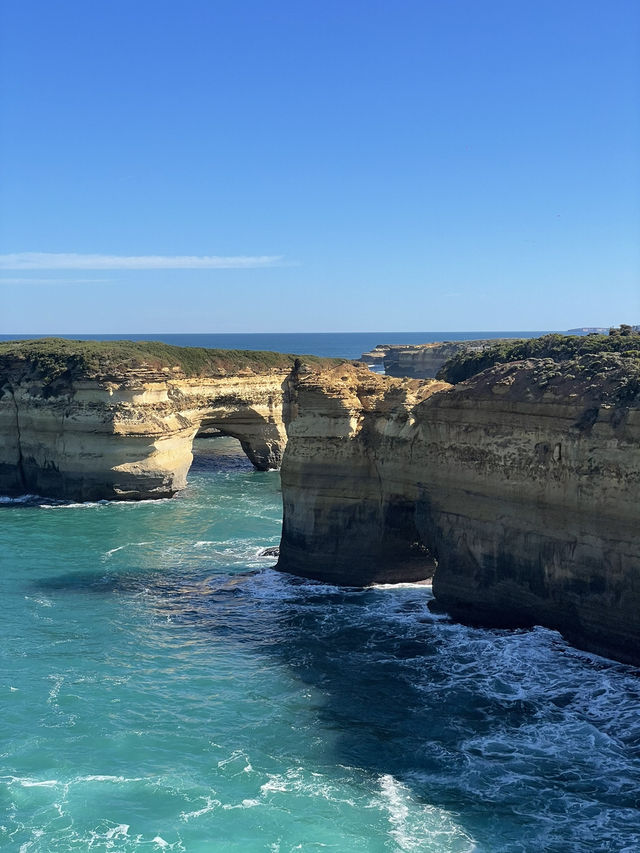 【メルボルン】世界一美しい海岸道路🇦🇺