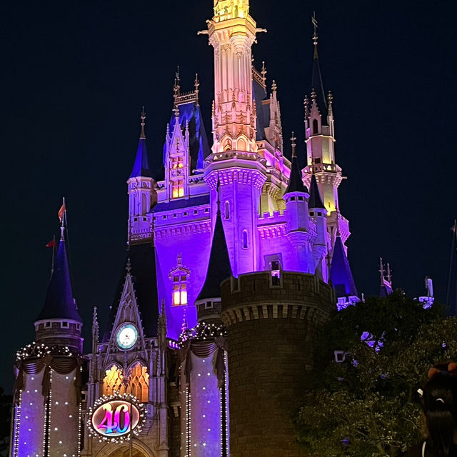 【東京ディズニーランドの魅力✨】