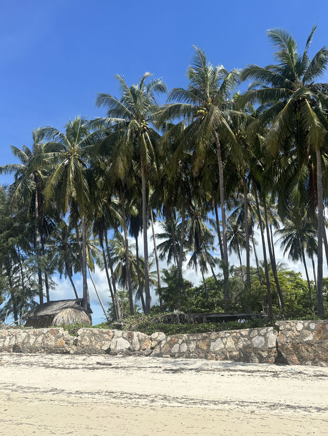 A Road Trip Through Waingapu – Where Horses Rule the Road 🐎🚗 