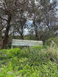 Sydney Harbour National Park Gap Bluff