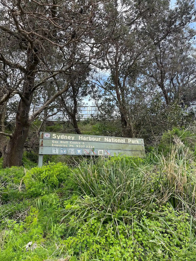 Sydney Harbour National Park Gap Bluff