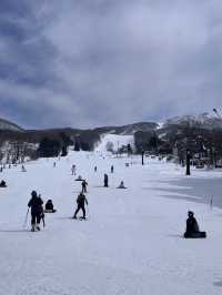 瘋滑雪🏂日本藏王滑雪趣