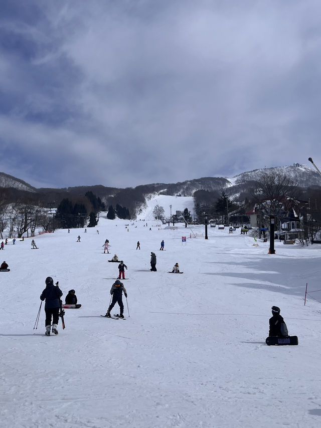 瘋滑雪🏂日本藏王滑雪趣