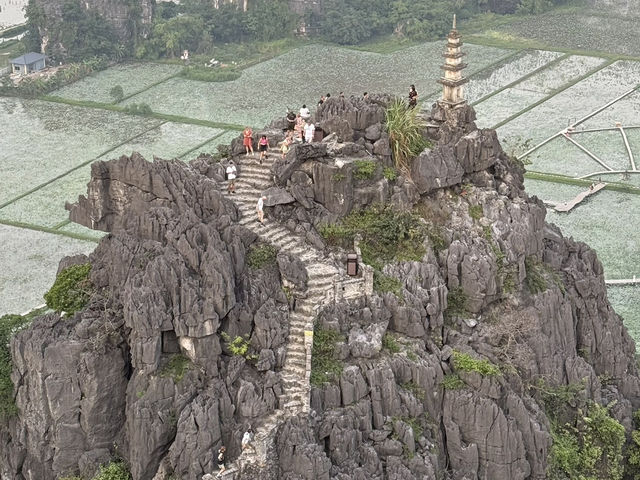 🇻🇳✨ 後龍灣——越南隱藏版絕美秘境 ✨🇻🇳