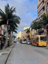 A Taste of Island Serenity in Okinawa