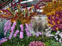 台南後壁-亞太蘭花會議暨台灣國際蘭展 Orchid Show 