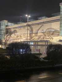 福井駅前恐竜🦕広場？！スポット！！