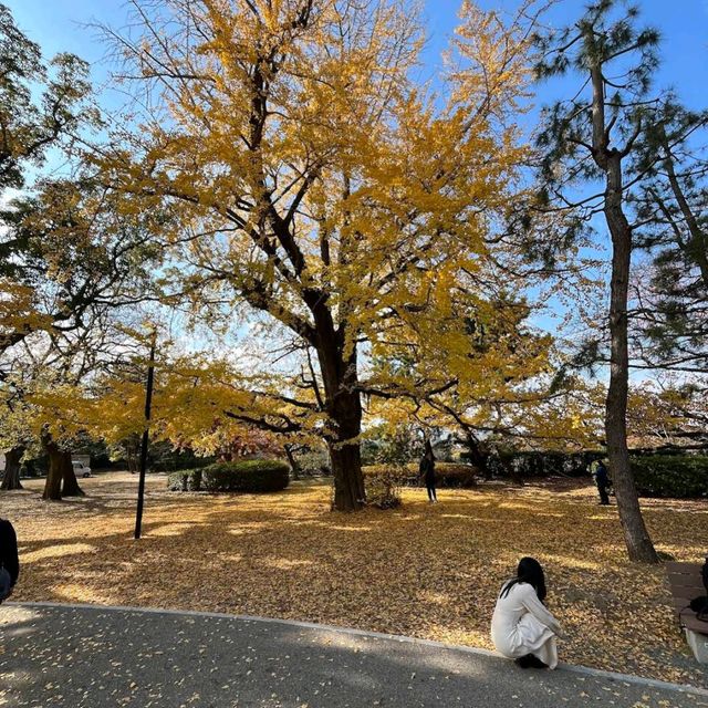 Maizuru Park (舞鶴公園)