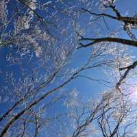 Sobaeksan National Park