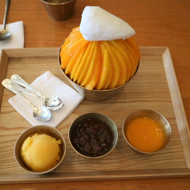 제주 신라호텔 호캉스 최고👍