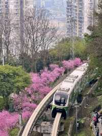 Chongqing: The Spicy Heart of China