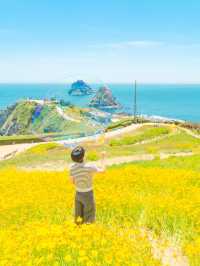 봄여름 부산 여행 코스 추천 오륙도 해맞이공원🌼🌿