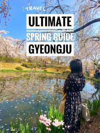 Ultimate Spring Guide to Gyeongju 🌸