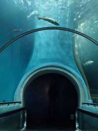 🐋 Rayong Aquarium สัมผัสโลกใต้ทะเลสุดมหัศจรรย์!