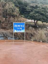 국내여행지 추천!! 전복의 성지 보길도여행+카페추천💚