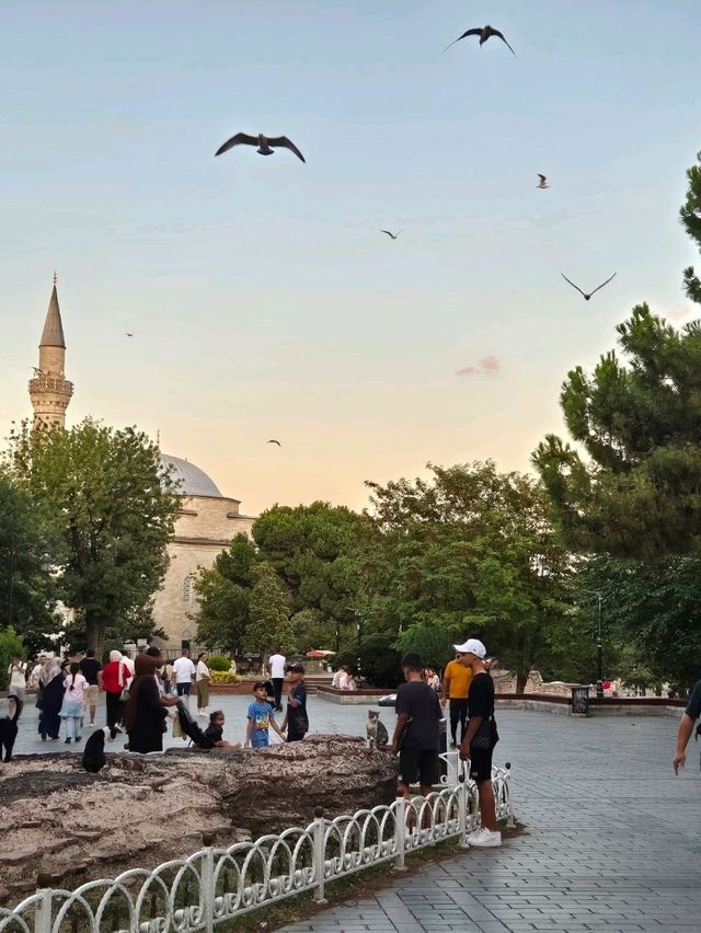 이스탄불 Sultan Ahmet 광장