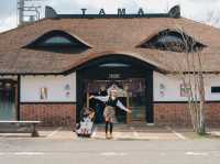 นั่งรถไฟน้องแมว เที่ยวเมือง Wakayama Kansai 