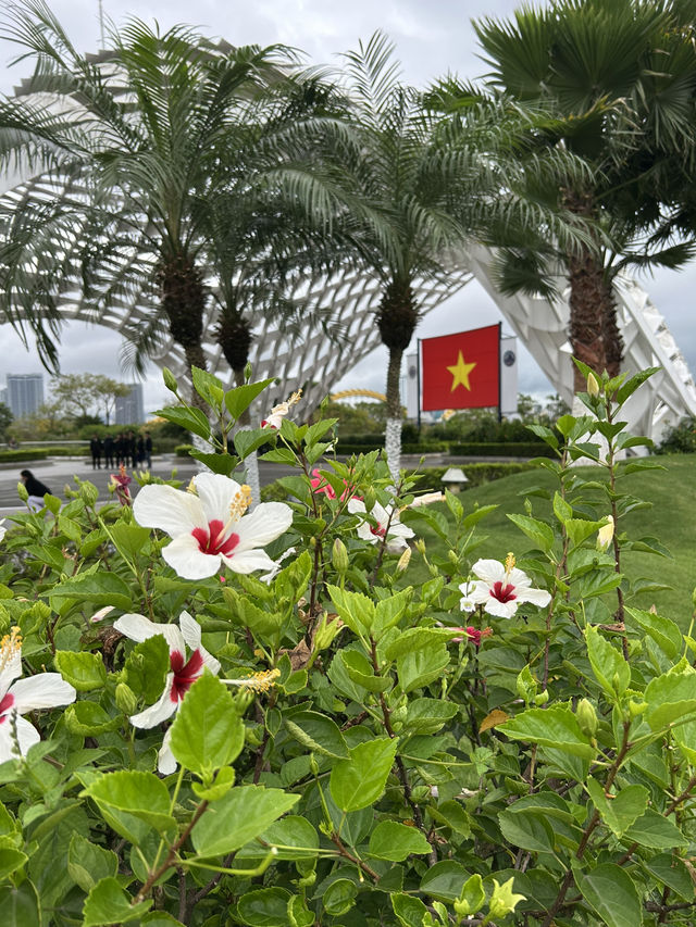 Da Nang 17 Days Itinerary