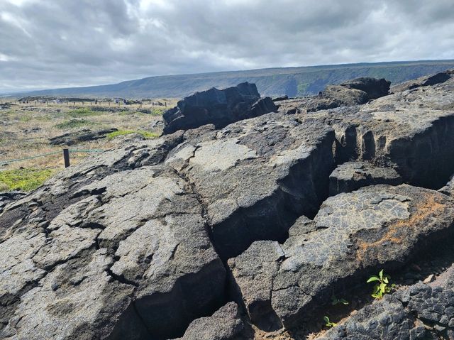 ハワイ島の壮大な火山ドライブ！チェーン・オブ・クレーターズ・ロードとホーレイシーアーチの絶景を巡る