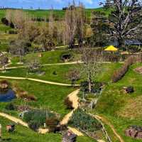 紐西蘭北島必訪，參觀哈比人的電影小屋 Hobbiton Movie Set Tours